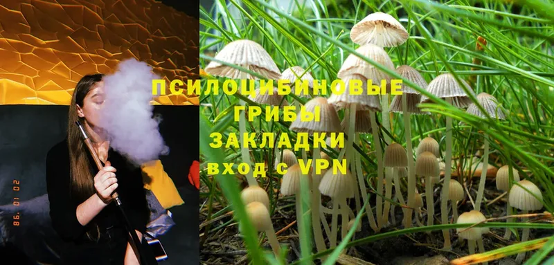 Псилоцибиновые грибы MAGIC MUSHROOMS  где найти   Туймазы 